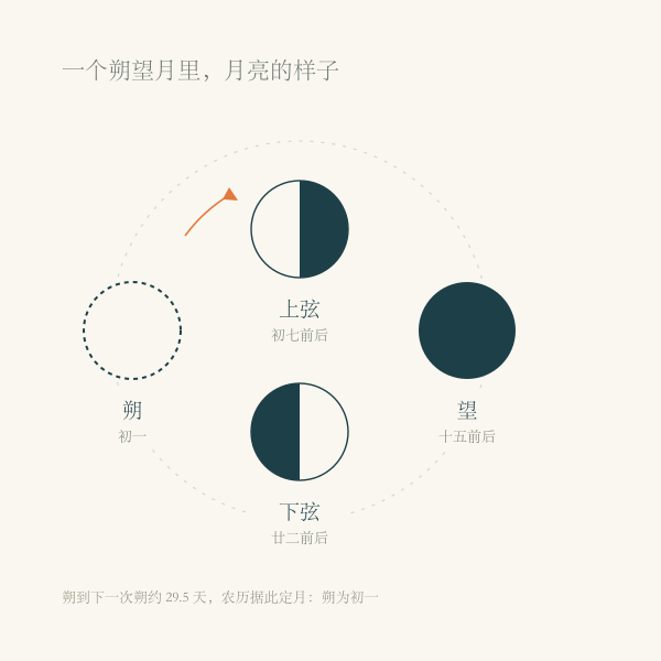 朔、上弦、望、下弦四个月相示意图
